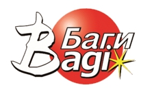 Логотип Bagi