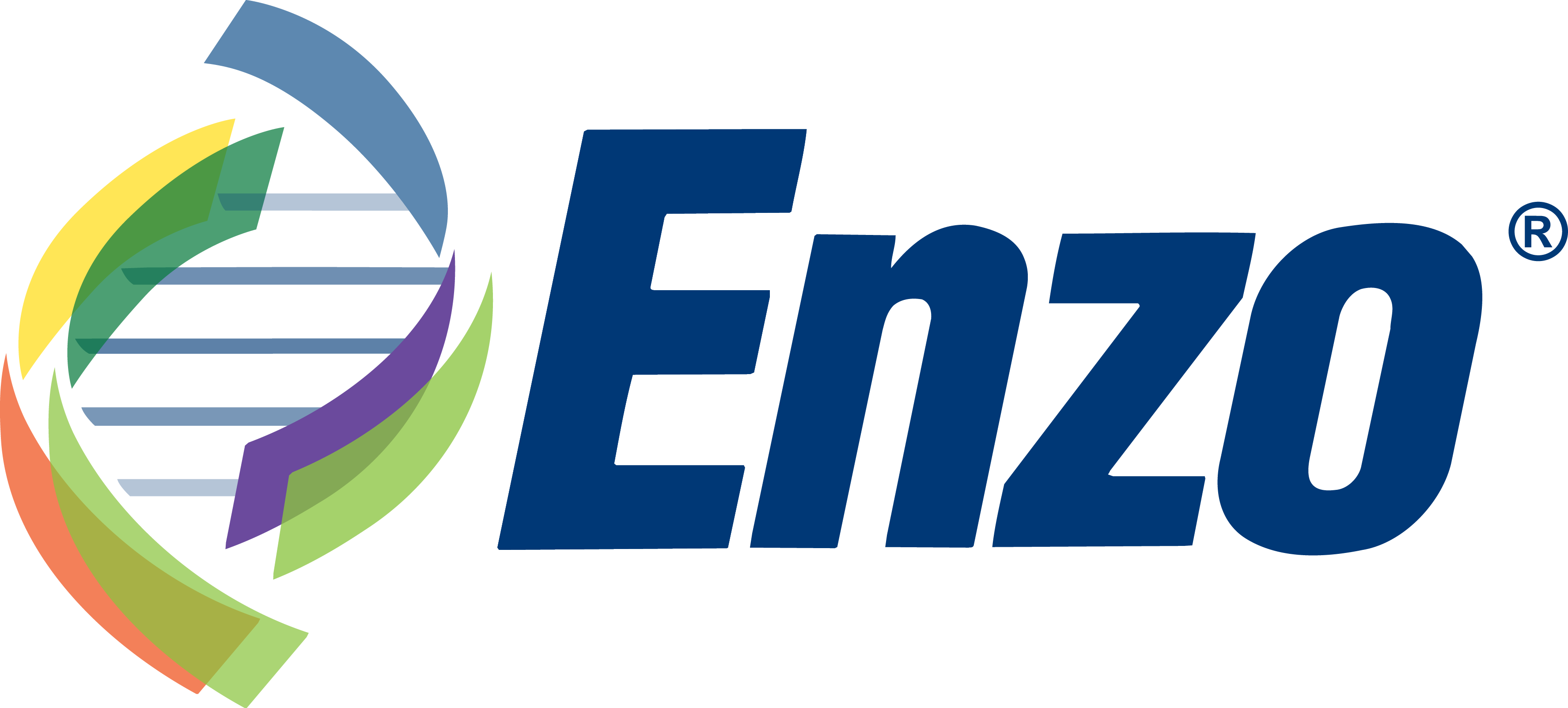 Логотип Enzo