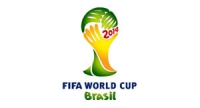 Чемпионат мира по футболу 2014